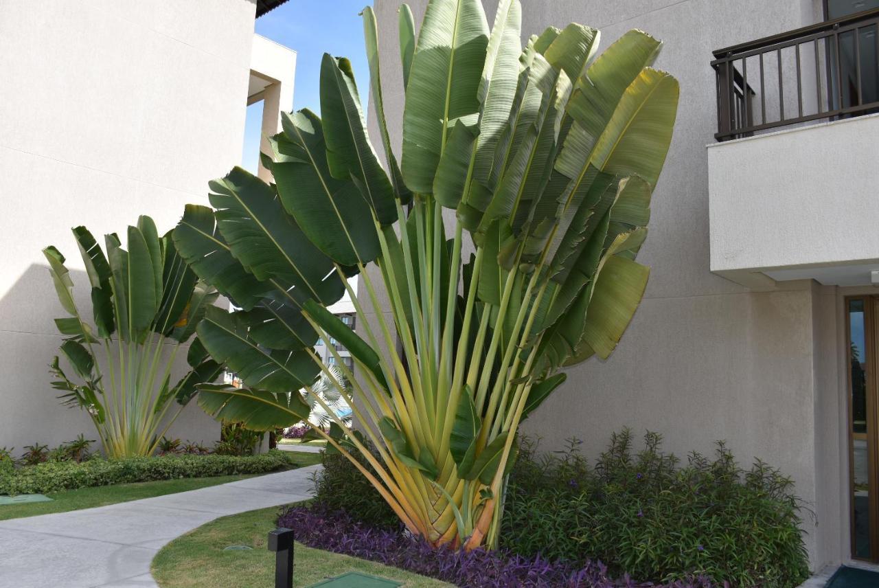 Boutique Ecolife Apartment Pôrto das Galinhas Exterior foto